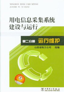 《运行维护 用电信息采集系统建设与运行 第二分册 信息系统运行维护服务》解析